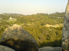 Botanical Gardens (7)