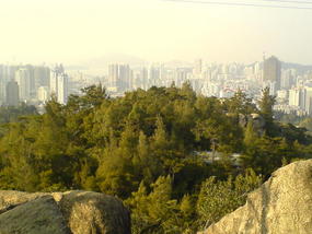 Botanical Gardens (8)