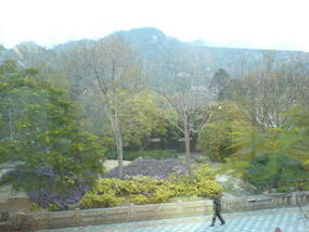Not a Clear View From Nanputo Mc Donalds