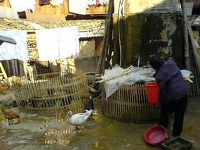 Chuxi Hakka Earth Building Group (18)