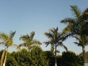 The Big Blue & A Beautiful Song (1)
