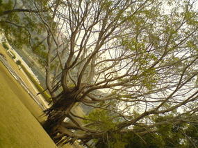 Xiamen Uni Campus
