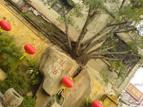 Ancient Mosque Walk (3)