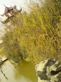 Qingyuan Mountain & East Lake Park (15)