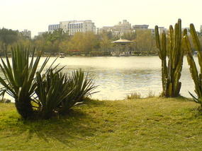 Qingyuan Mountain & East Lake Park (16)