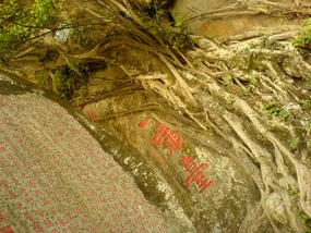 Qingyuan Mountain & East Lake Park (26)