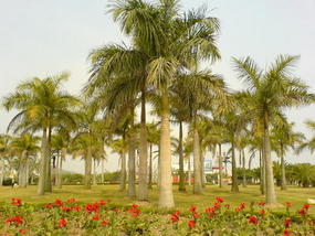Yundang Lake Area (5)