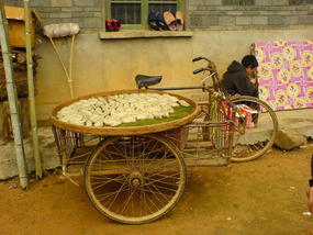 Spring Festival Village Lunch (6)