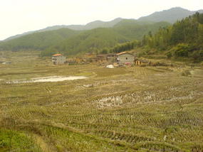 Spring Festival Village Lunch (7)