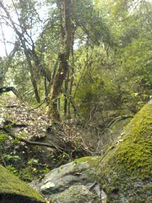 Sunchang - Eva & Huayang Shan (23)
