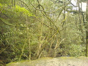 Sunchang - Eva & Huayang Shan (9)