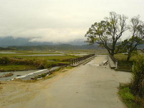 Lunch at Joyces Village