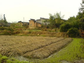 Lunch at Joyces Village (7)