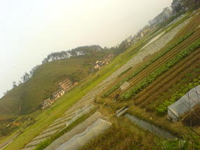My Daily Village Temple Ride