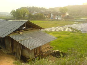 My Daily Village Temple Ride (10)