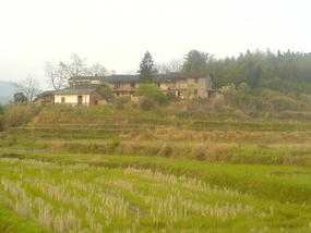 My Daily Village Temple Ride (12)
