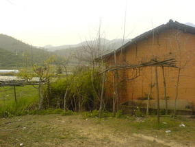 My Daily Village Temple Ride (14)