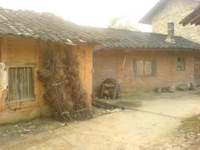 My Daily Village Temple Ride (15)