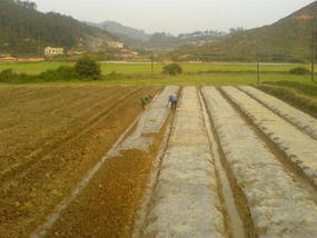 My Daily Village Temple Ride (1)
