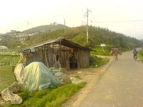 My Daily Village Temple Ride (2)