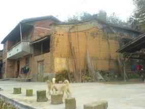 My Daily Village Temple Ride (38)