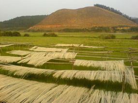 My Daily Village Temple Ride (3)
