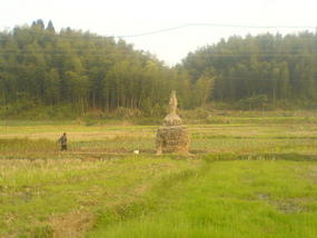 My Daily Village Temple Ride (7)