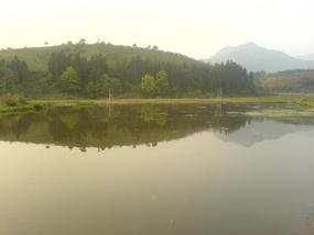 My Daily Village Temple Ride (8)