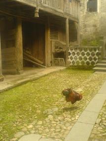 Ancient Heping Town (13)
