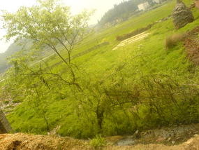 Ancient Heping Town (28)