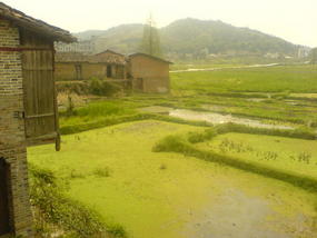 Ancient Heping Town (29)