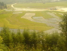 Ancient Heping Town (34)
