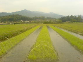 A Visit To Marys Village (18)