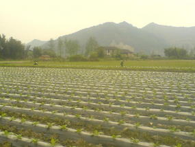 A Visit To Marys Village (19)