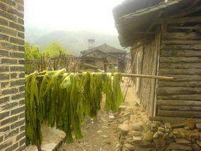 A Visit To Marys Village (21)