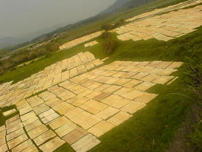 A Visit To Marys Village (4)