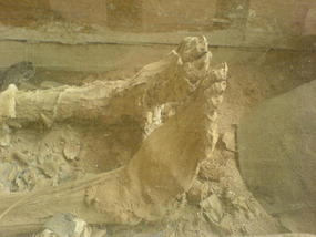 Tian Cheng Valley & Heping Town (11)