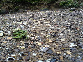 Tian Cheng Valley & Heping Town (4)