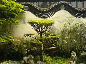 Shanghai Old Quater & Pudong Adventure (25)