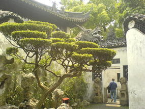 Shanghai Old Quater & Pudong Adventure (26)
