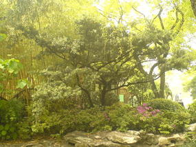 Shanghai City Temple Adventure (1)