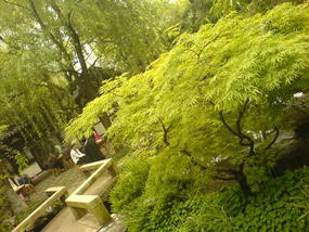 Shanghai City Temple Adventure (45)