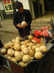 Shanghais Museums Bazaars & Bars (12)
