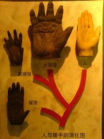 Shanghais Museums Bazaars & Bars (20)
