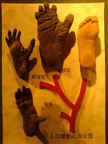 Shanghais Museums Bazaars & Bars (21)