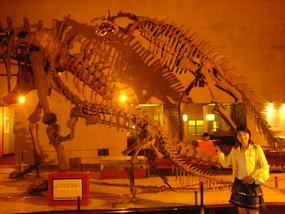 Shanghais Museums Bazaars & Bars (23)