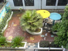 My New Apartment (4)