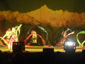 The Minority Peoples Dance (6)