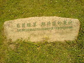 Wuyi Shan Details (11)