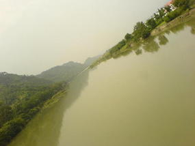Wuyi Shan Details (3)